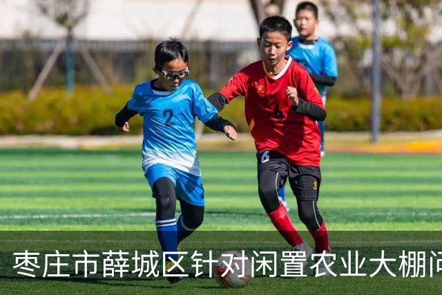 枣庄市薛城区针对闲置农业大棚问题开展彻底调查
